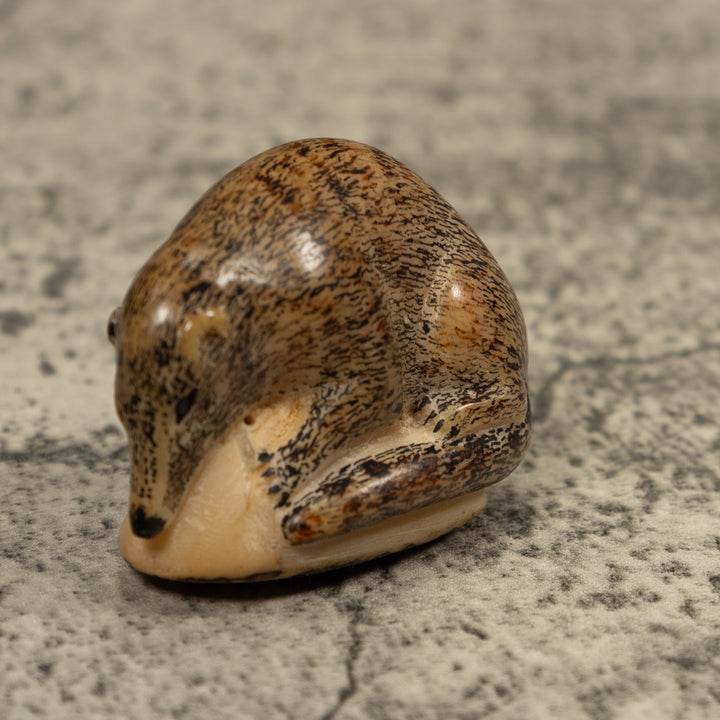 Vintage Coatmundi Tagua Carving