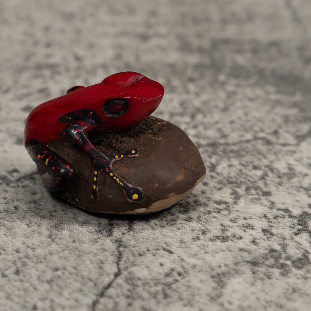Poison Dart Frog Tagua Carving