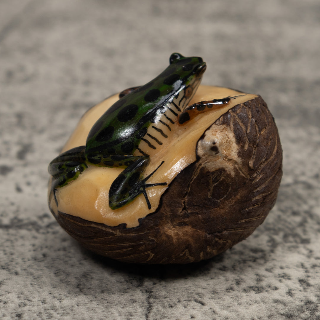 Poison Dart Frog Tagua Carving