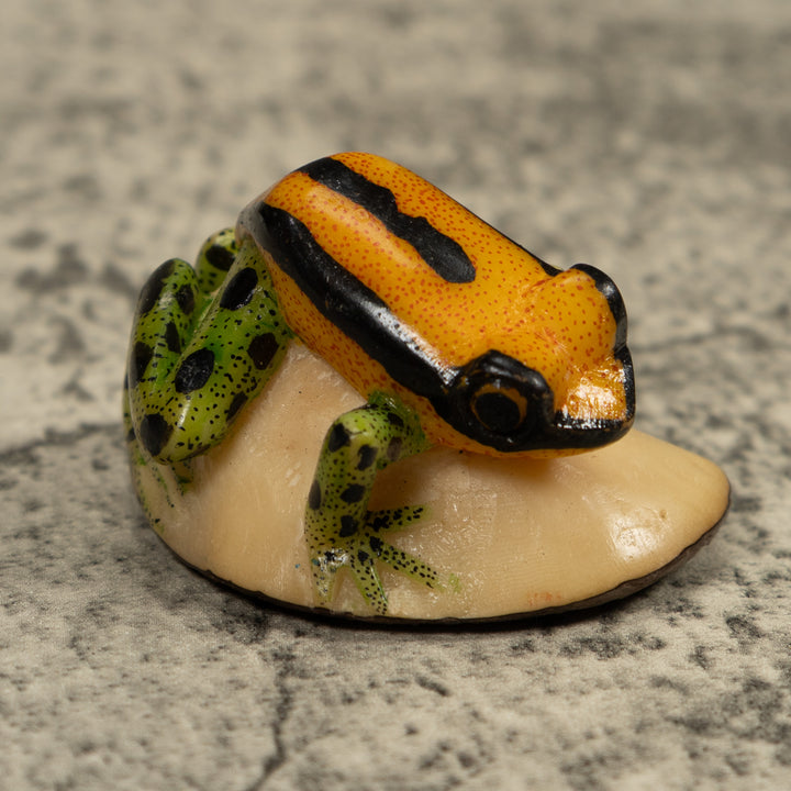 Poison Dart FrogTagua Carving