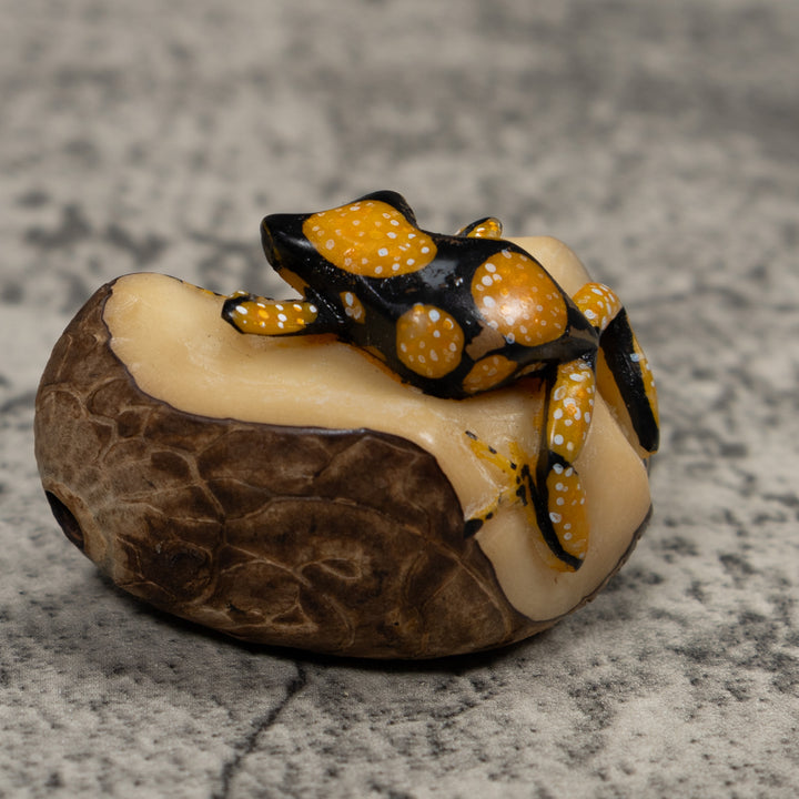 Gold White And Black Frog Tagua Carving