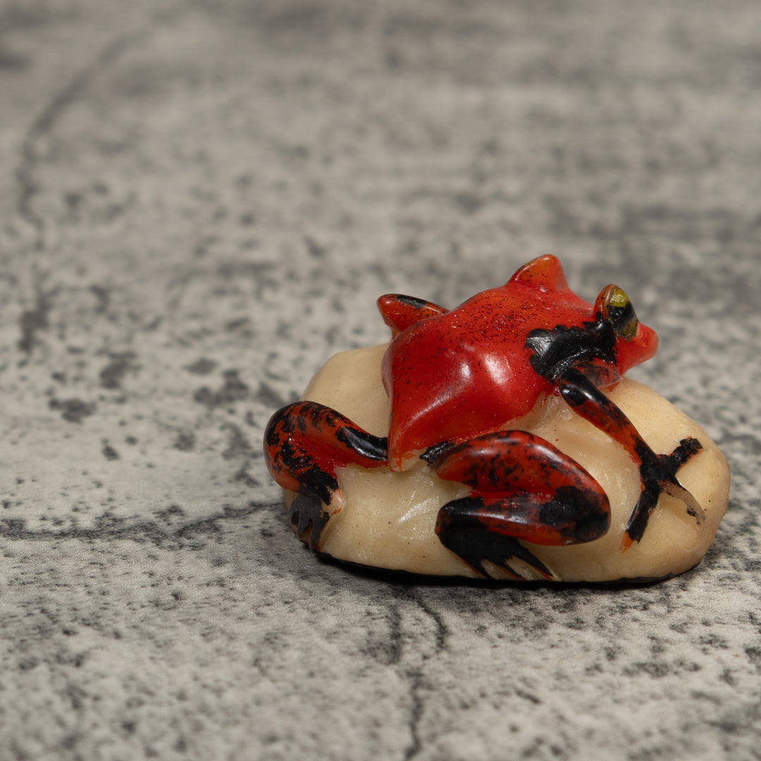 Vintage Red And Black Poison Dart Frog Tagua Carving