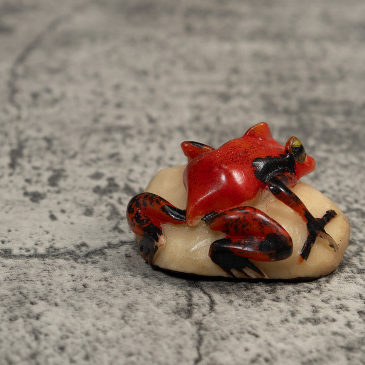 Vintage Red And Black Poison Dart Frog Tagua Carving