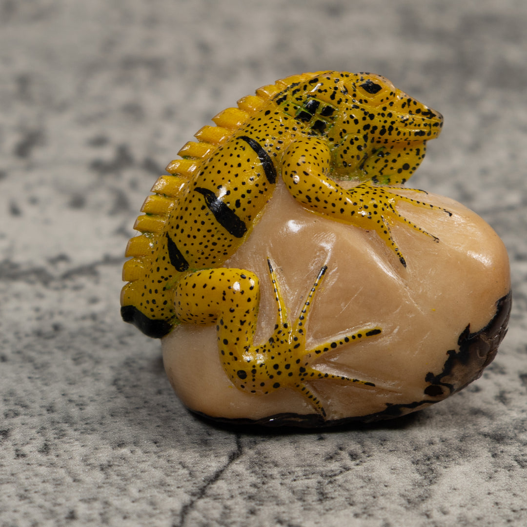 Magnificent Iguana Lizard Tagua Carving