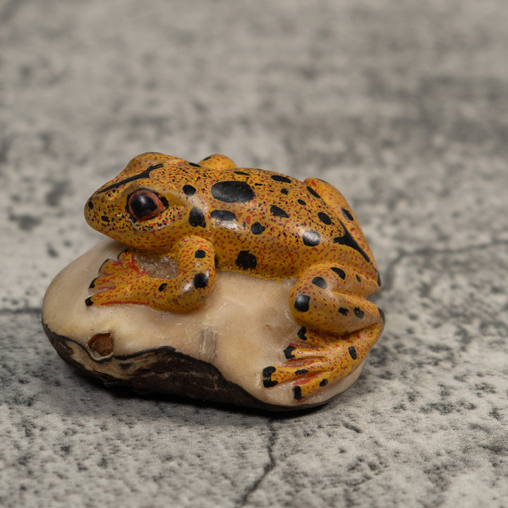 Gold And Black Poison Dart Frog Tagua Carving