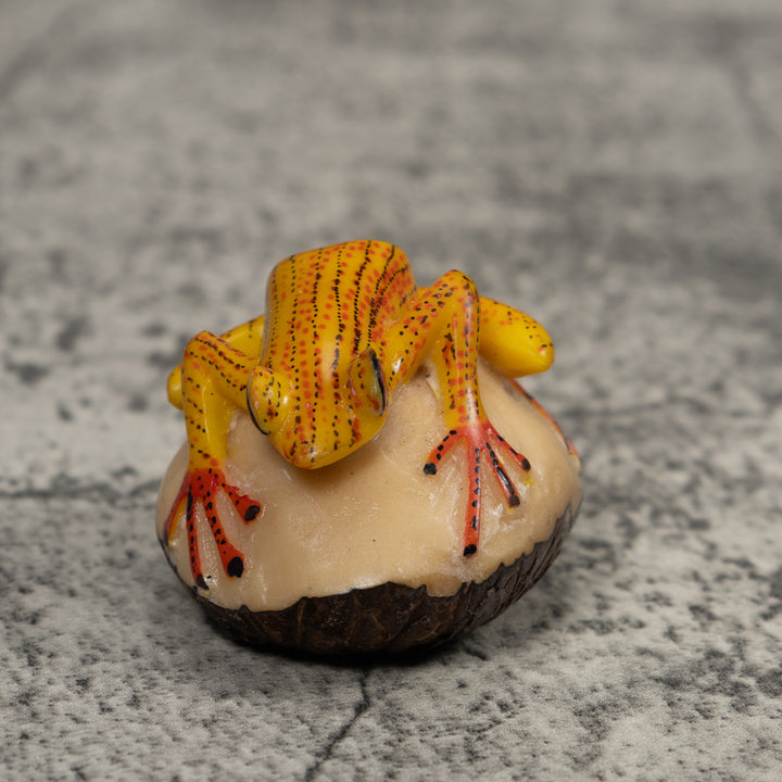 Vintage Gold Red And Black Frog Tagua Carving