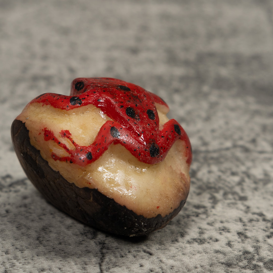 Vintage Red Poison Dart Frog Tagua Carving