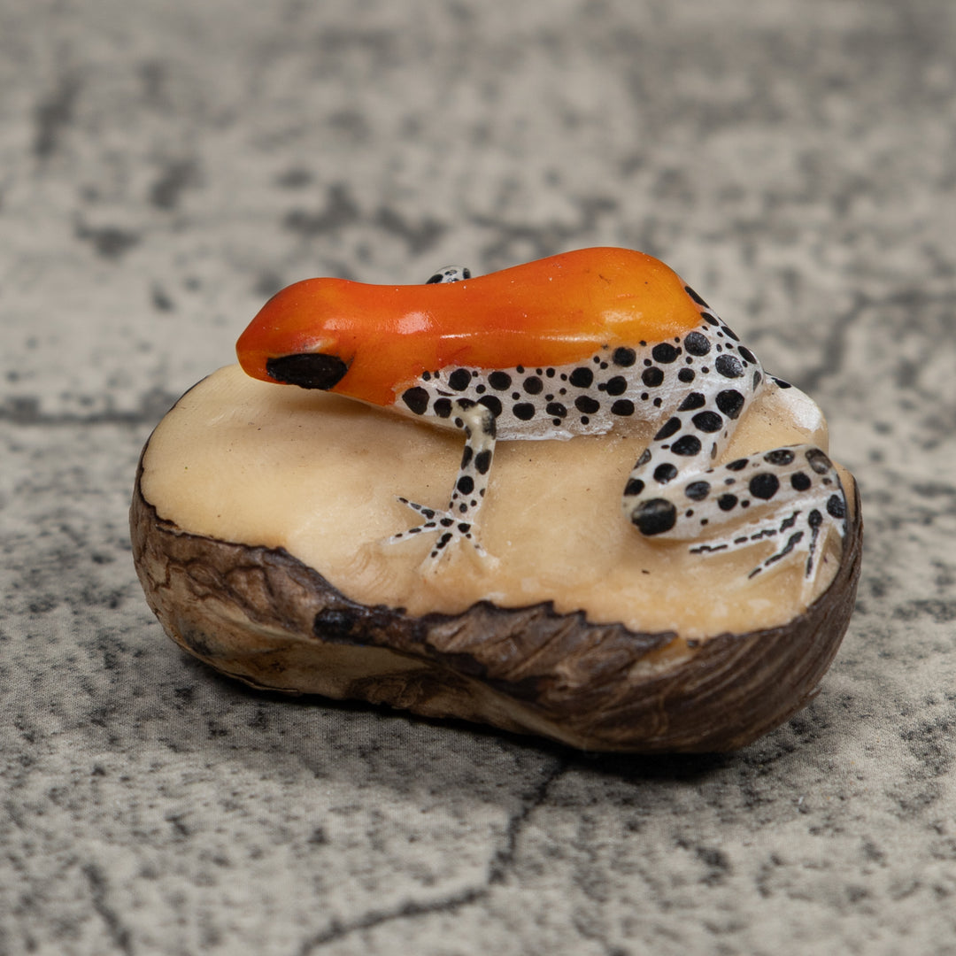 Poison Dart Frog Tagua Carving