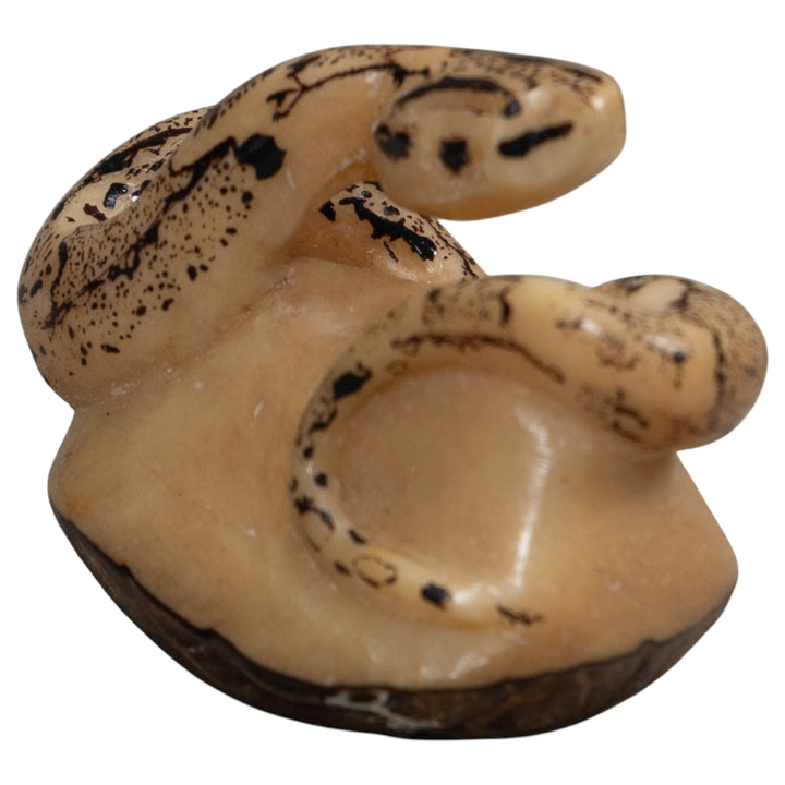 Black And White Snake Boa Tagua Carving