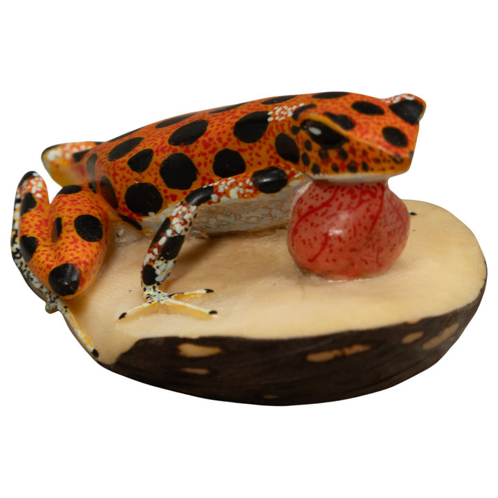 Poison Dart Frog Blow throat Tagua Carving