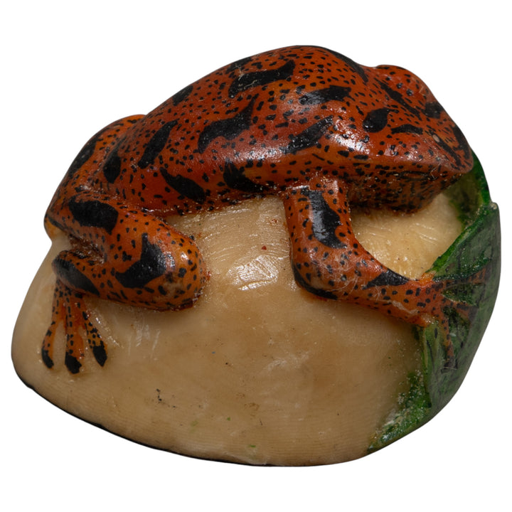 Vintage Red Black And Green Frog Tagua Carving