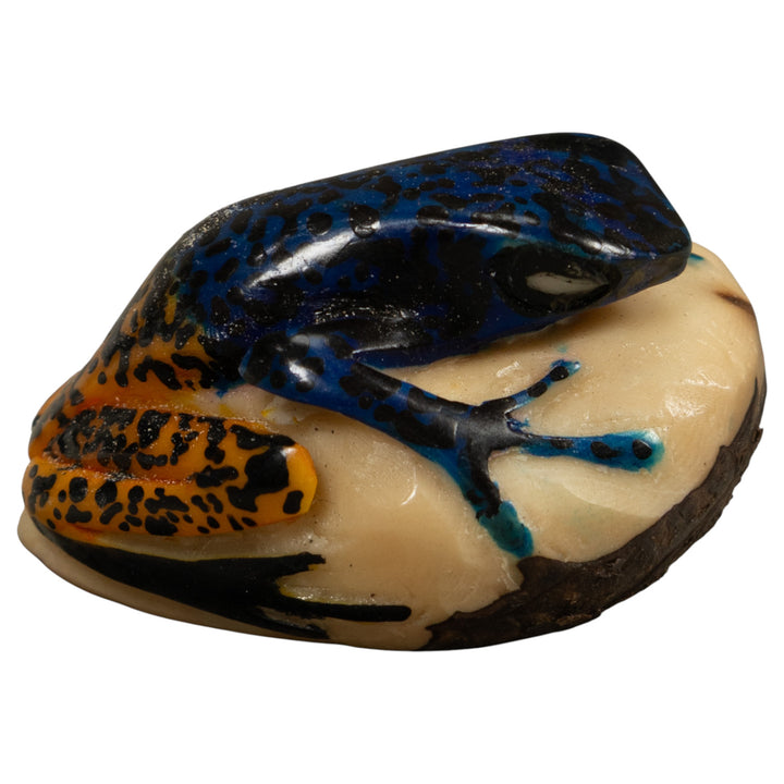 Poison Dart Frog Tagua Carving