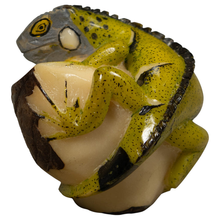 Iguana Lizard Reptile Tagua Carving