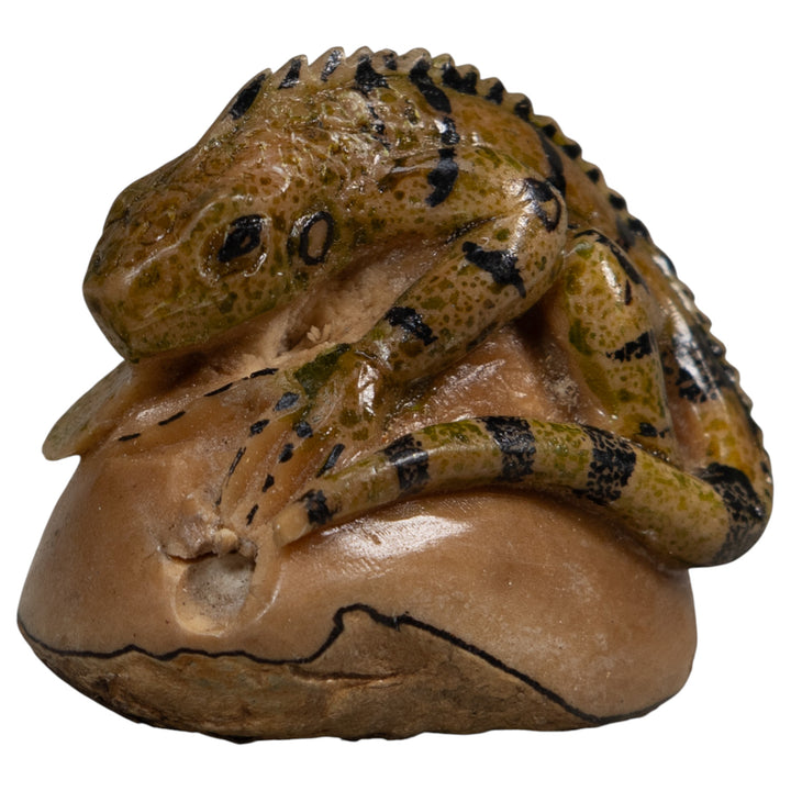 Vintage Brown And Black Iguana Tagua Carving