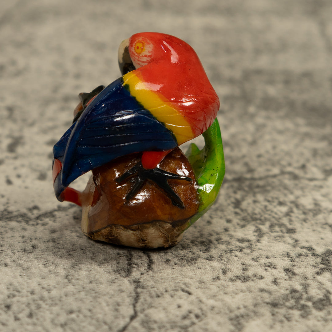 Macaw Parrot Bird Tagua Carving