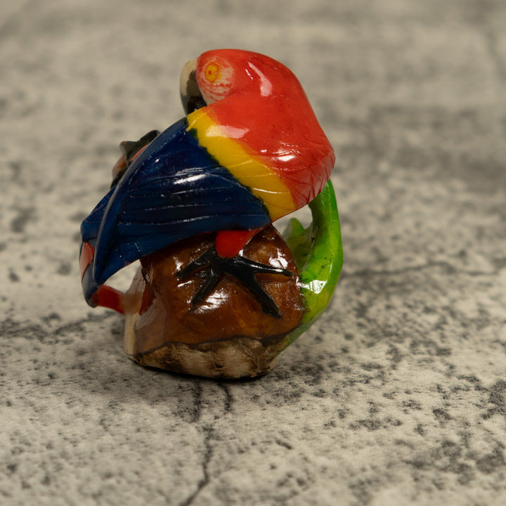 Macaw Parrot Bird Tagua Carving