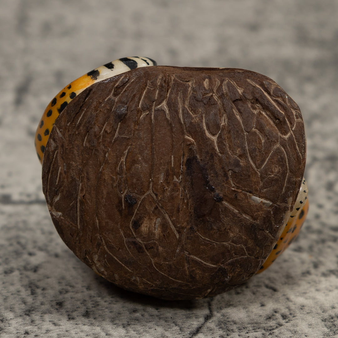 Cheetah Cat Tagua Carving