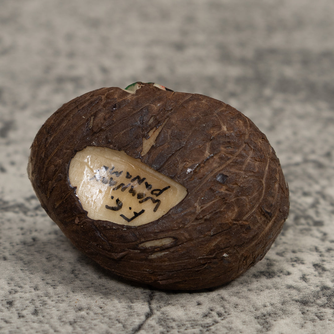 Poison Dart Frog Tagua Carving