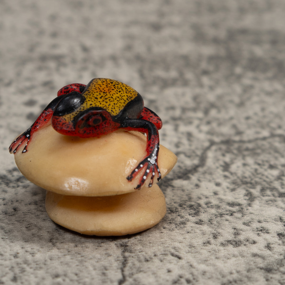 Vintage Red Black And Gold Poison Dart Frog Tagua Carving