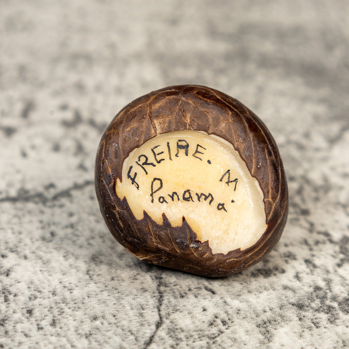 Brown Squirrel Tagua Carving