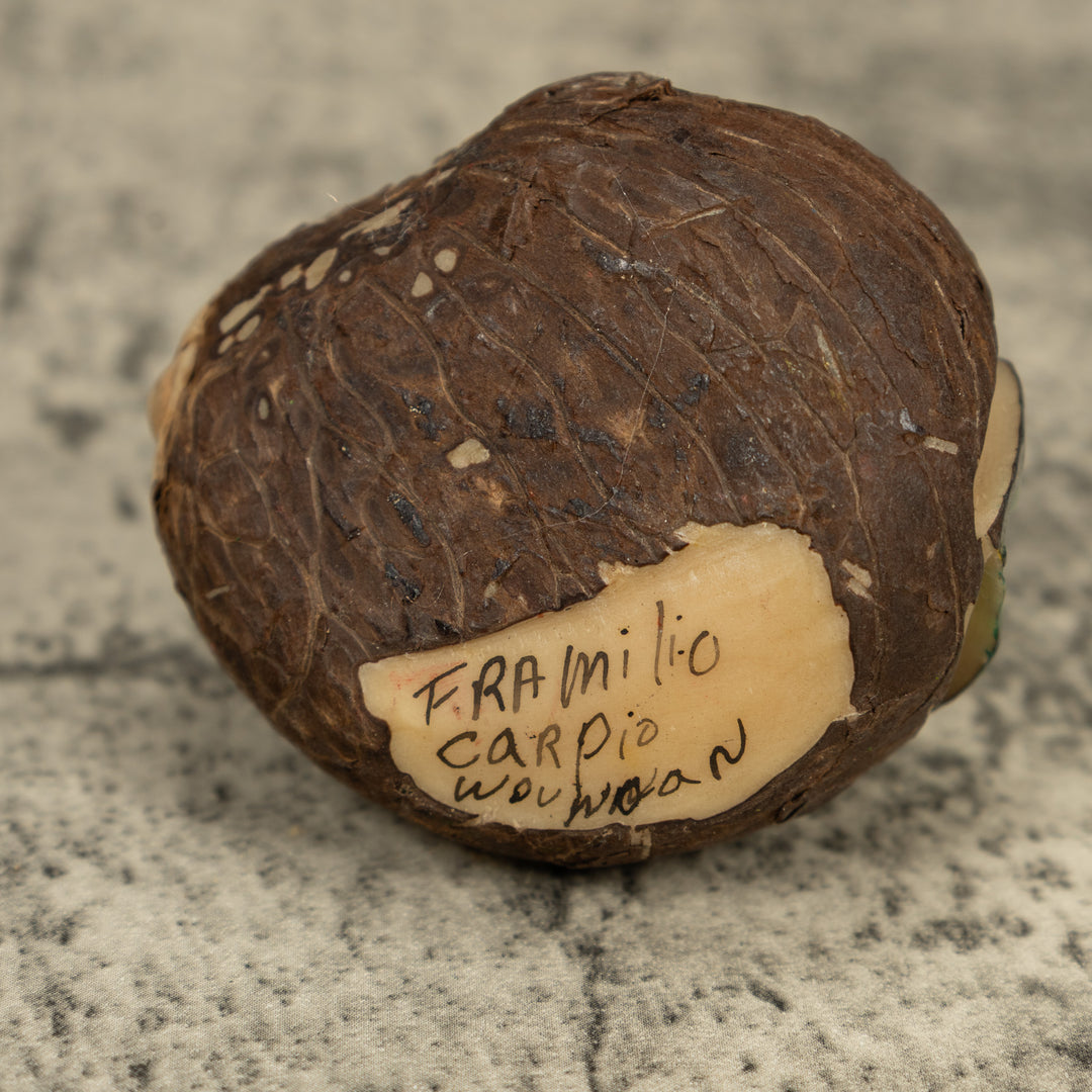 Golden Frog On Leaf Tagua Carving
