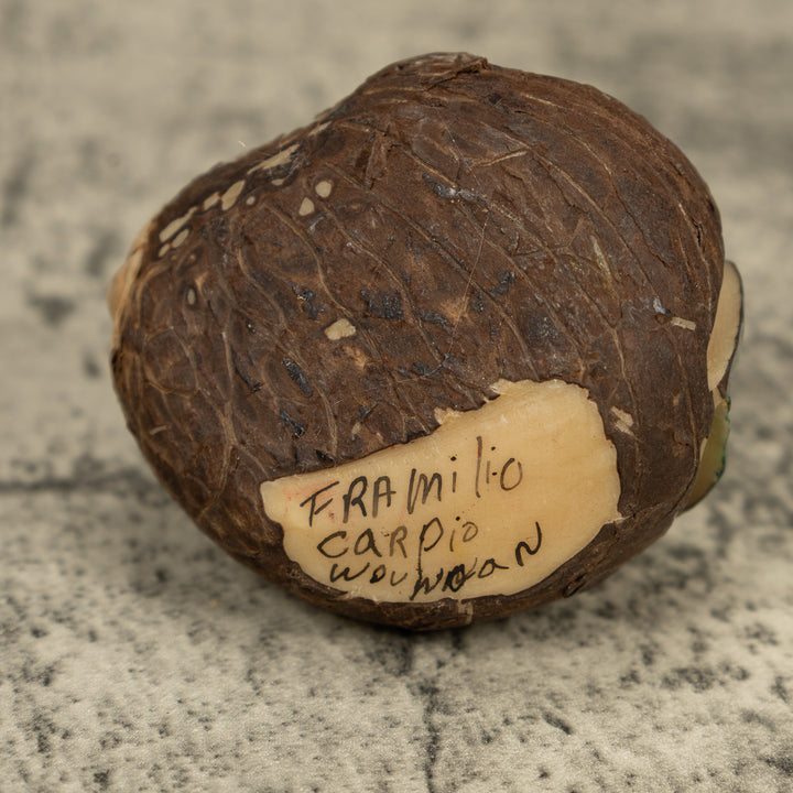 Golden Frog On Leaf Tagua Carving