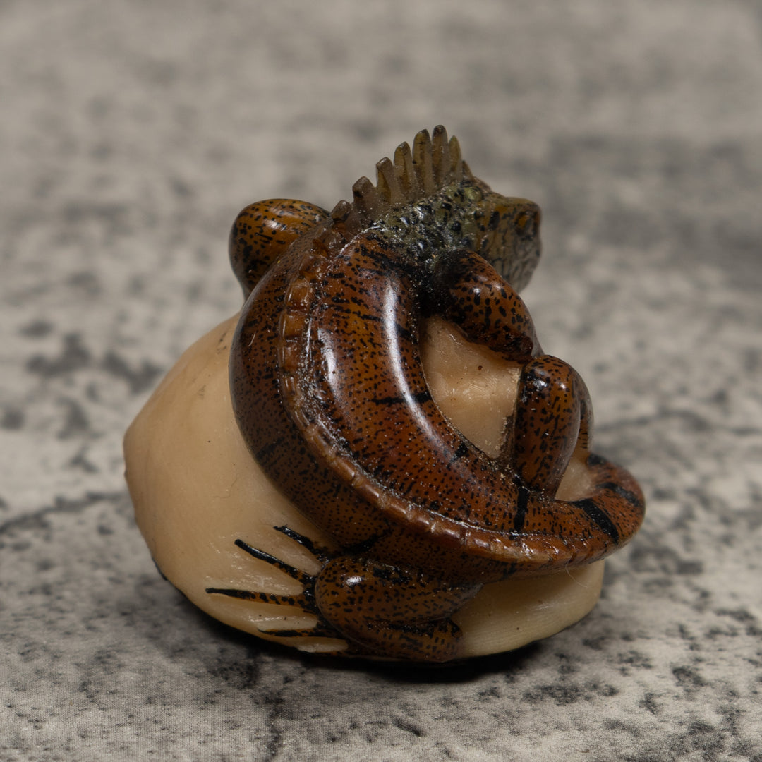Iguana Lizard Reptile Tagua Carving