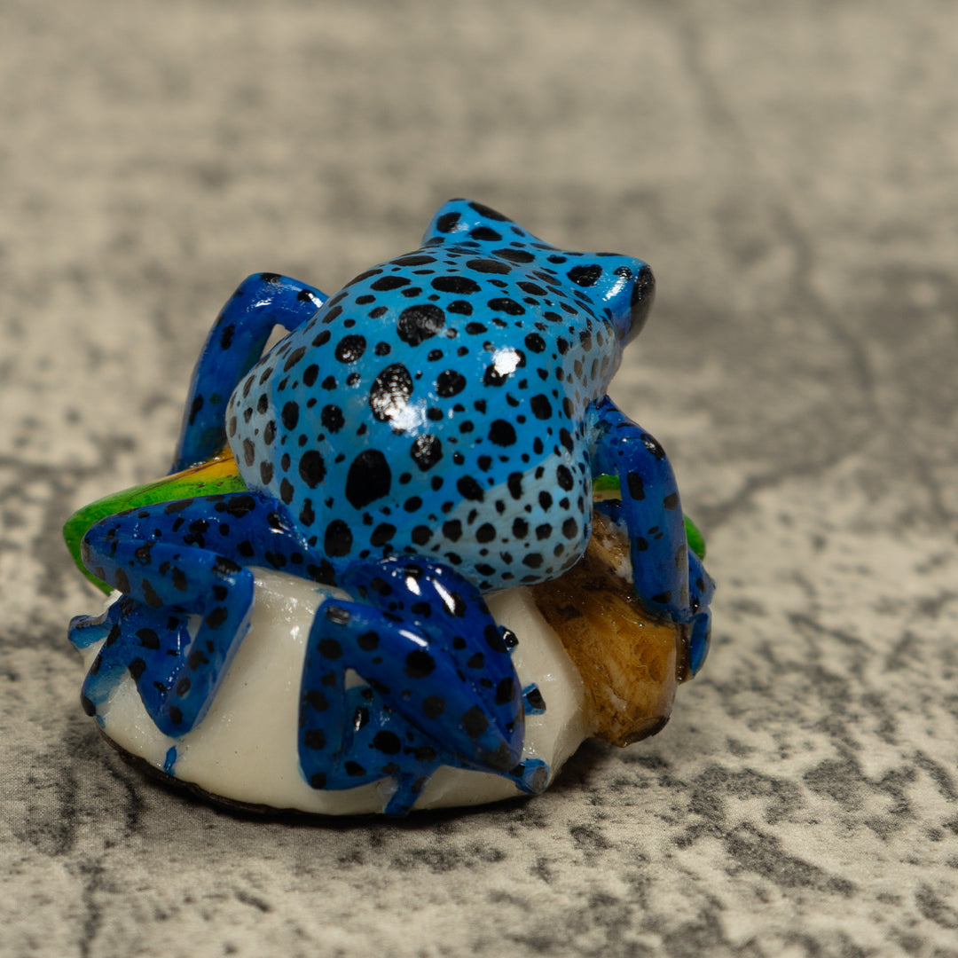 Blue Poison Dart Frog Tagua Carving