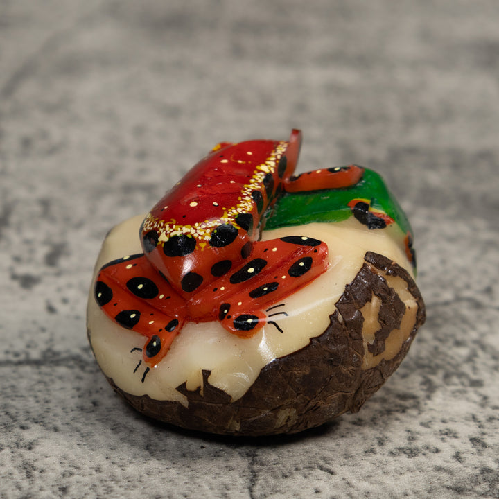 Red Black And Green Poison Dart Frog Tagua Carving