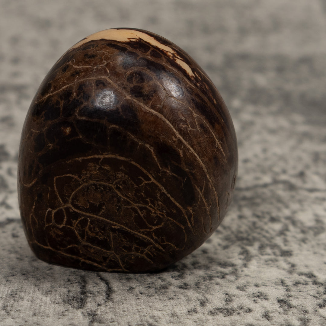 Christian Creche Tagua Carving