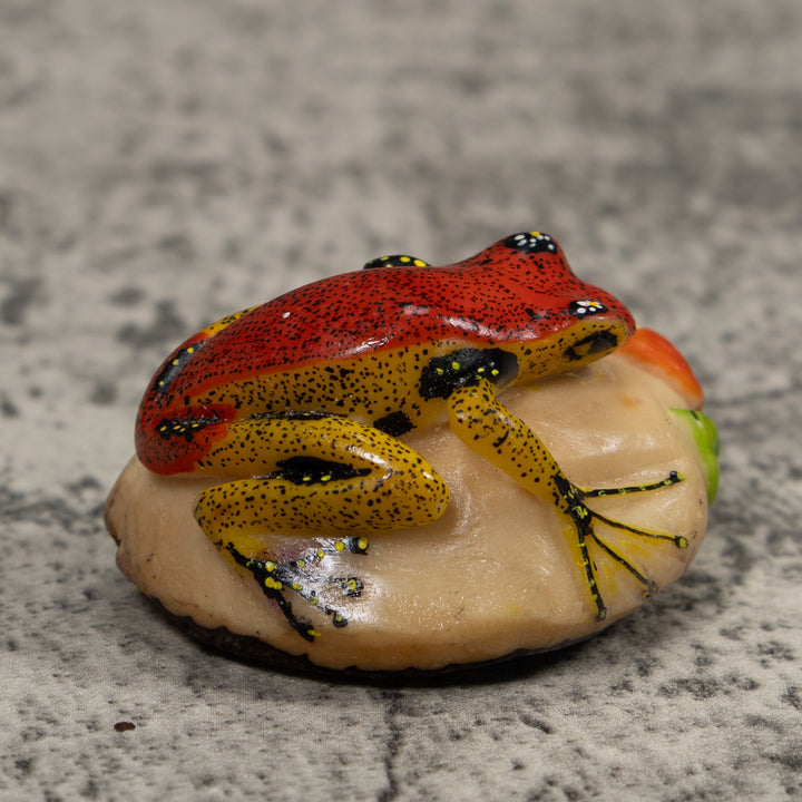 Poison Dart Frog Tagua Carving