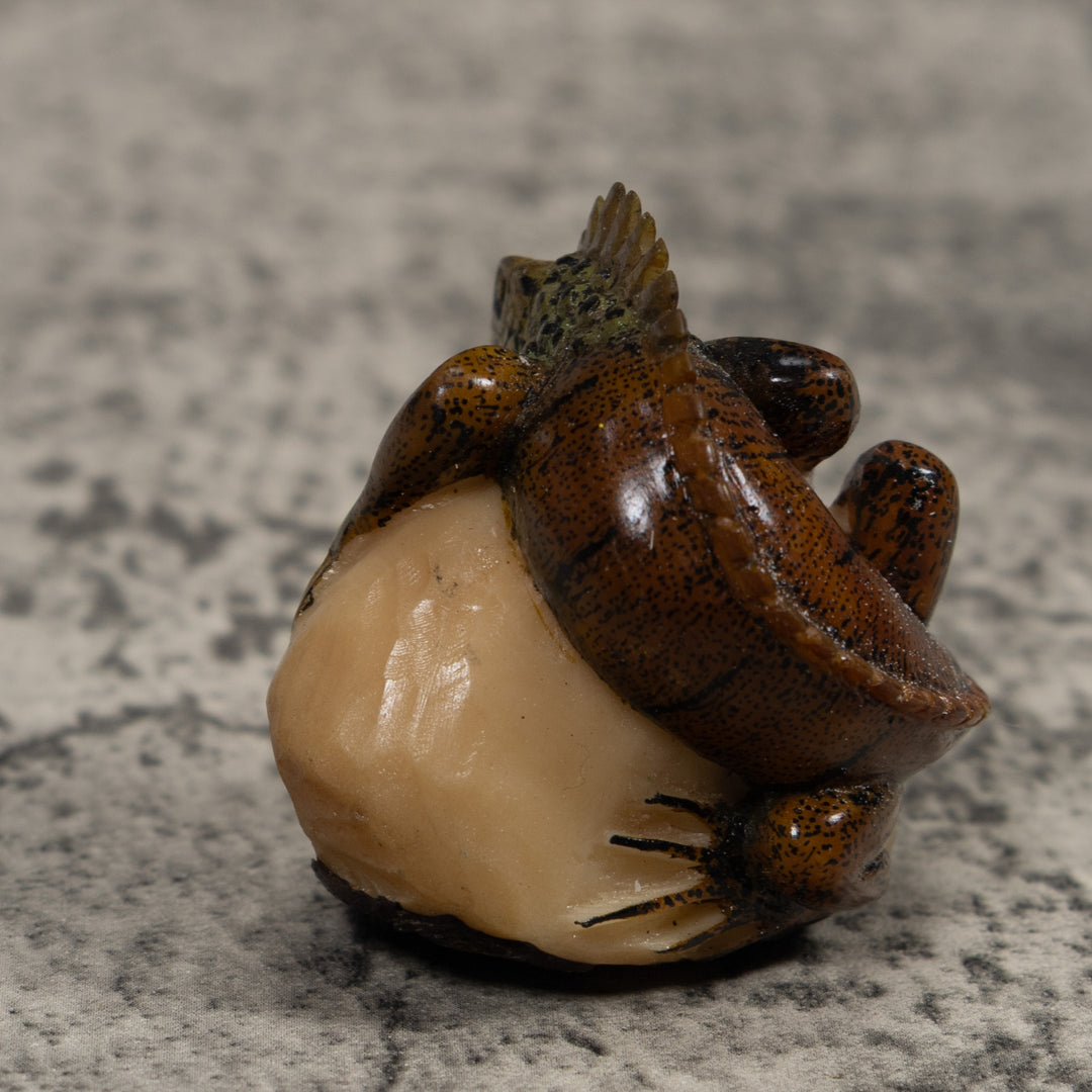 Iguana Lizard Reptile Tagua Carving