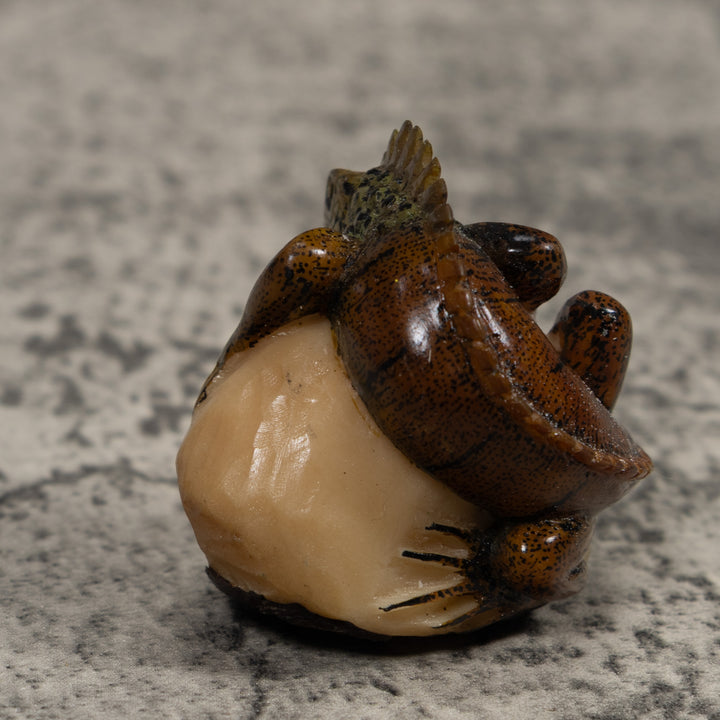Iguana Lizard Reptile Tagua Carving