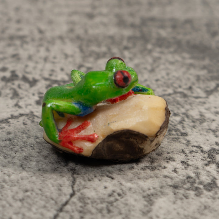Red-Eye Tree Frog Tagua Carving
