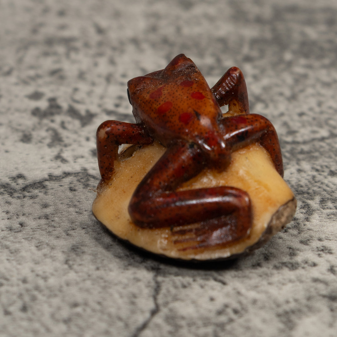 Vintage Brown Frog Tagua Carving