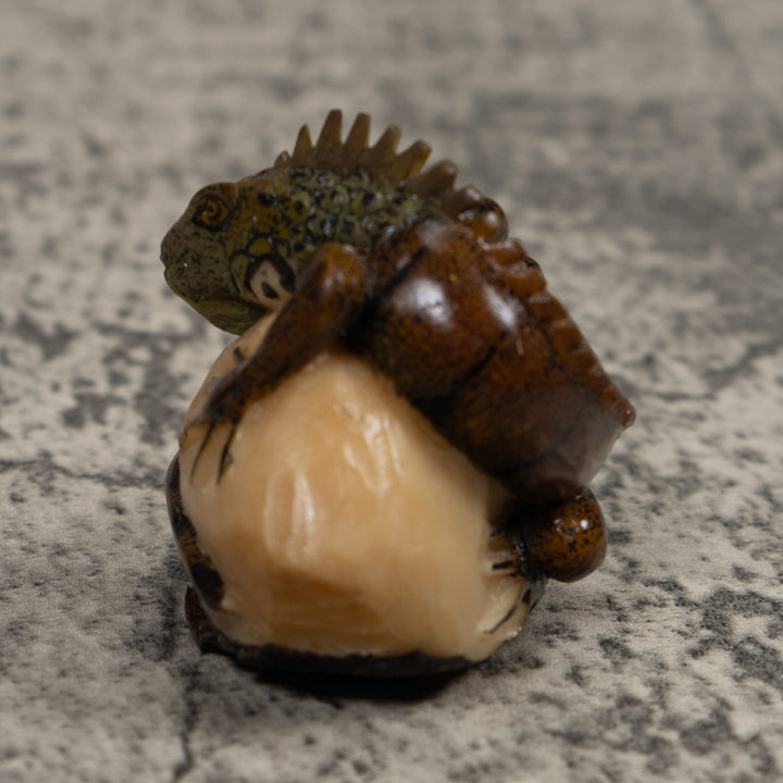 Iguana Lizard Reptile Tagua Carving