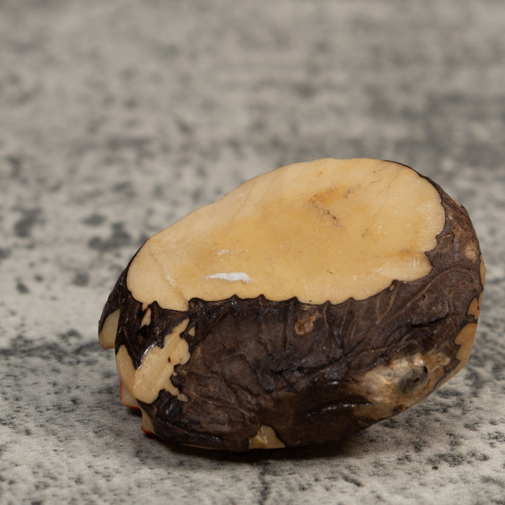 Vintage Gray And Red Poison Dart Frog Tagua Carving