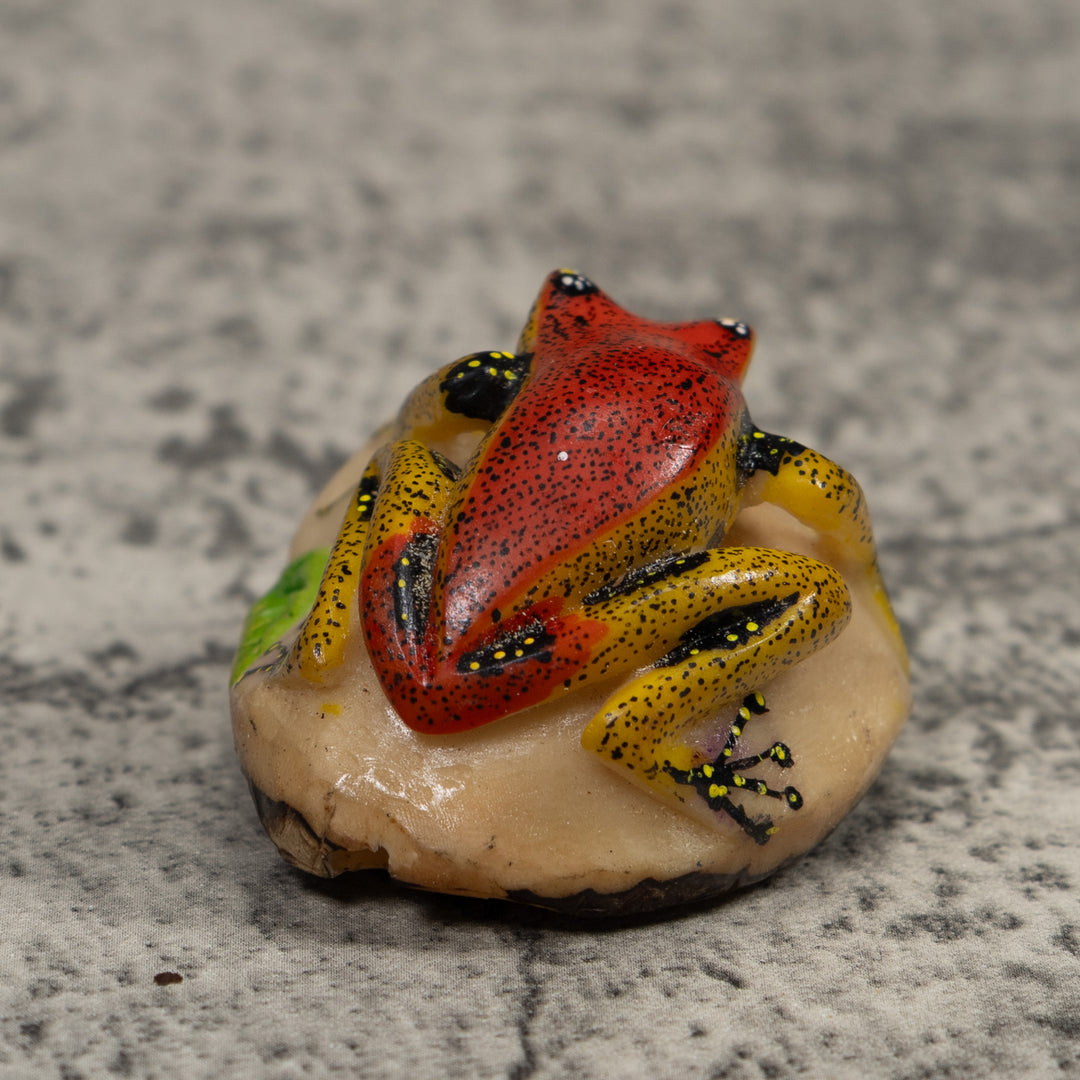 Poison Dart Frog Tagua Carving