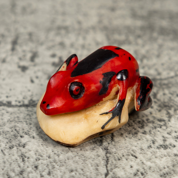 Vintage Red And Black Frog Tagua Carving