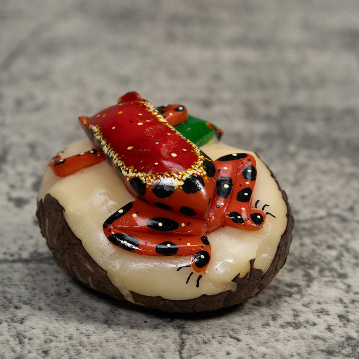 Red Black And Green Poison Dart Frog Tagua Carving