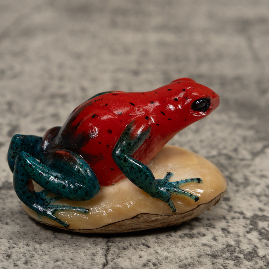 Poison Dart Frog Tagua Carving