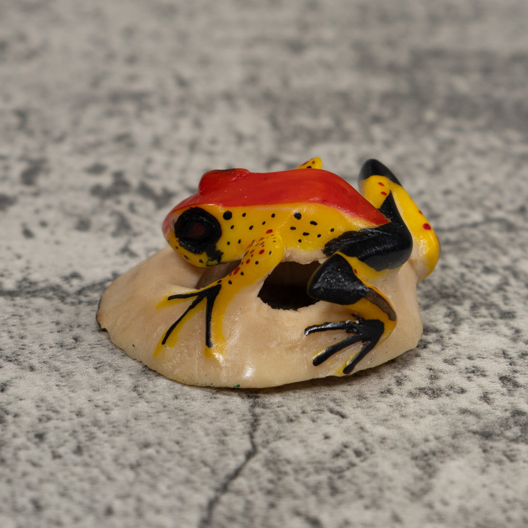 Vintage Poison Dart Frog Tagua Carving