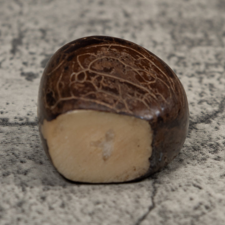 Christian Creche Tagua Carving