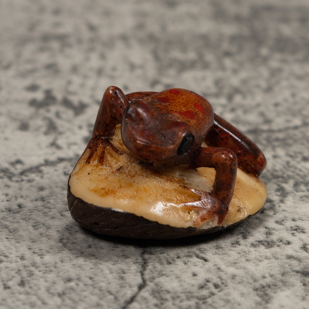 Vintage Brown Frog Tagua Carving