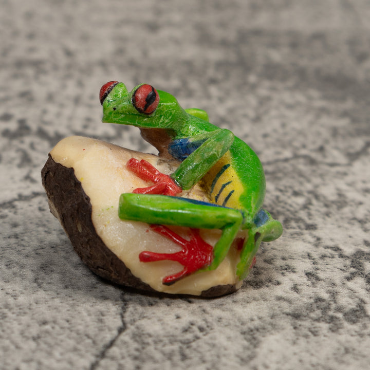Red-Eye Tree Frog Tagua Carving