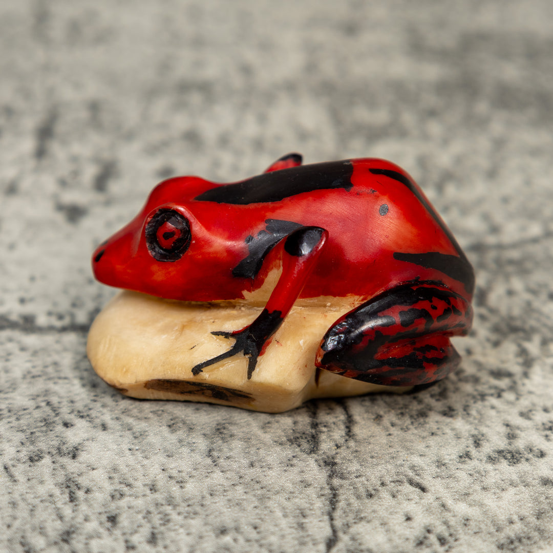 Vintage Red And Black Frog Tagua Carving