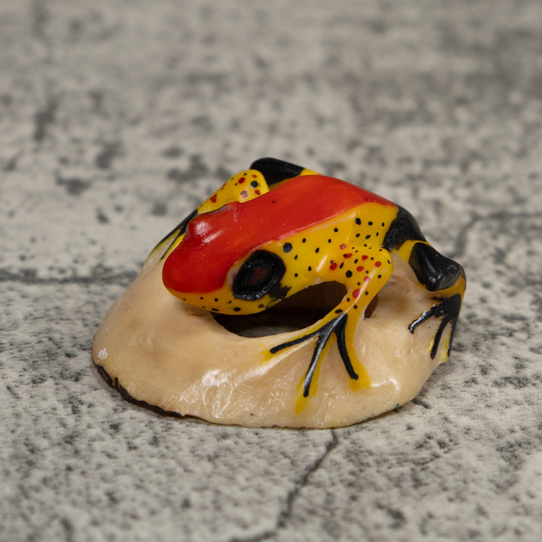 Vintage Poison Dart Frog Tagua Carving