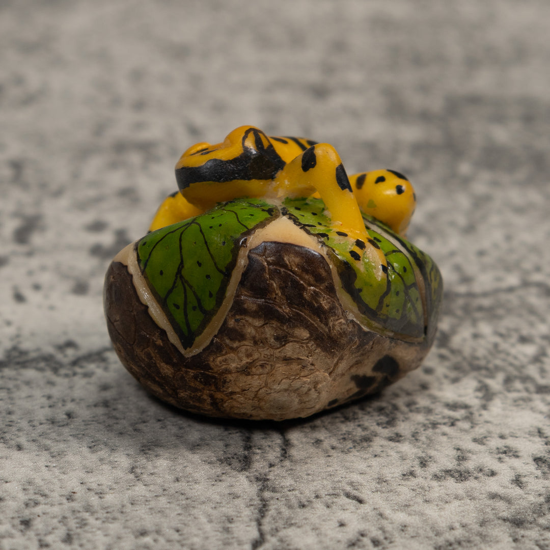 Black And Gold Poison Dart Frog Tagua Carving