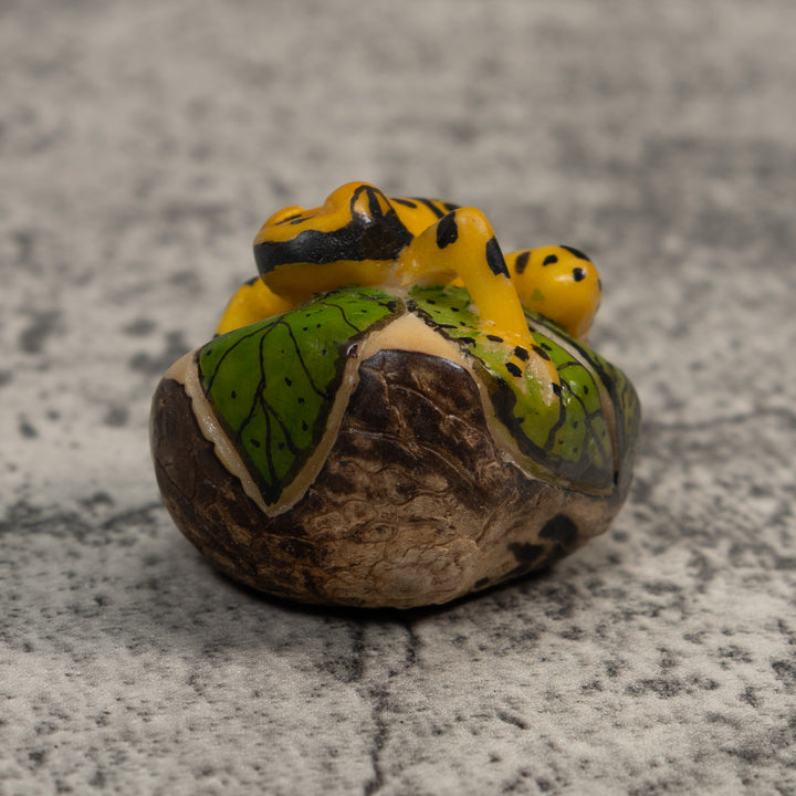 Black And Gold Poison Dart Frog Tagua Carving