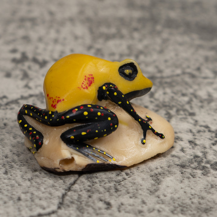 Poison Dart Frog Tagua Carving